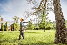 Best Emergency Tree Removal  in Spry, PA